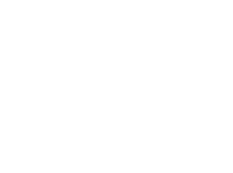 VizoPhoto Logo
